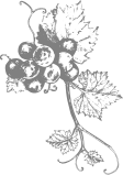 grappe